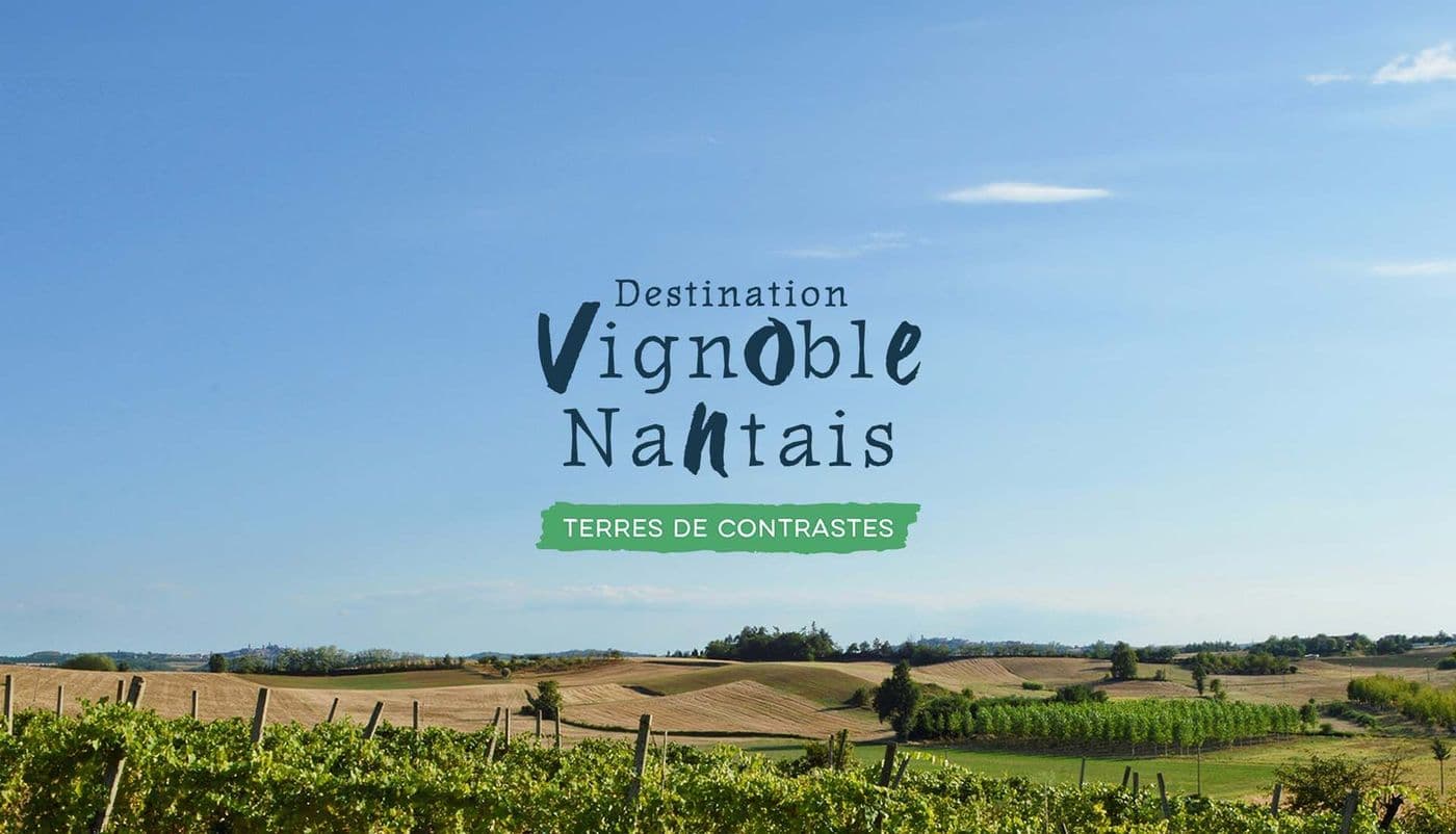 DESTINATION VIGNOBLE NANTAIS